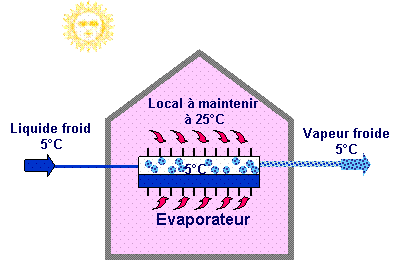 l'évaporateur